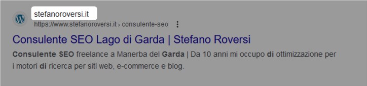 Cosa è la SERP? Significato, composizione e funzionamento 13 Dominio risultato in serp